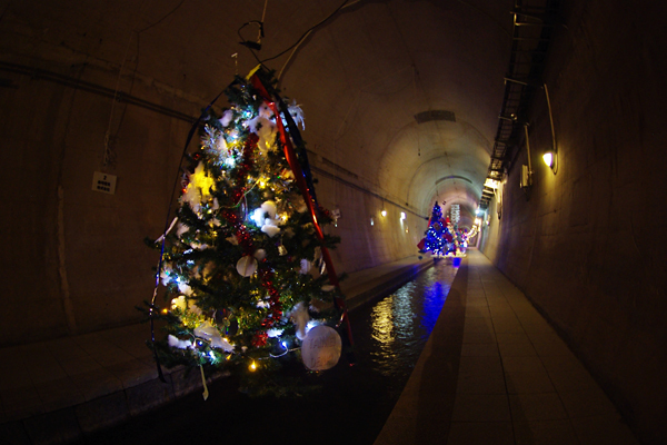 高森湧水トンネル〜クリスマスツリー１
